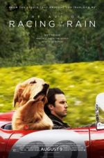 Watch The Art of Racing in the Rain 123moviesFree