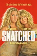 Watch Snatched 123moviesFree