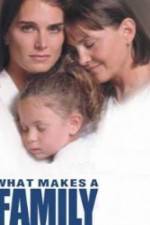 Watch What Makes a Family 123moviesFree
