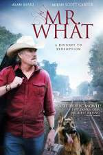 Watch Mr What 123moviesFree