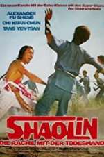 Watch The Shaolin Avengers 123moviesFree