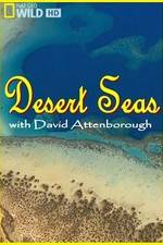 Watch Desert Seas 123moviesFree