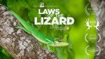 Watch Laws of the Lizard 123moviesFree