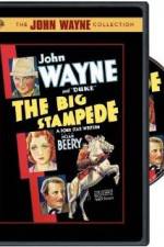 Watch The Big Stampede 123moviesFree