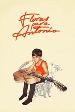 Watch Flores para Antonio 123moviesFree