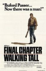 Watch Final Chapter: Walking Tall 123moviesFree