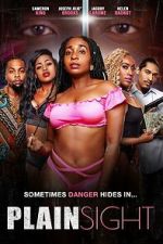 Watch Plain Sight 123moviesFree