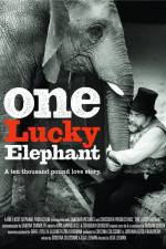 Watch En lycklig elefant 123moviesFree