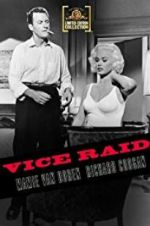 Watch Vice Raid 123moviesFree