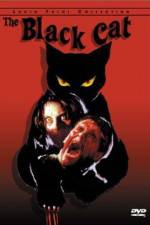Watch Black Cat 123moviesFree