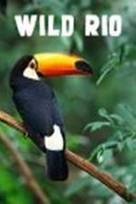 Watch Wild Rio 123moviesFree