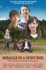 Watch Miracle in Kasama 123moviesFree