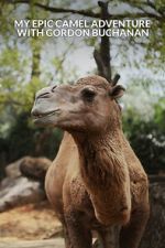Watch My Epic Camel Adventure with Gordon Buchanan 123moviesFree