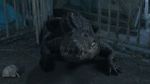 Watch Croc! 123moviesFree