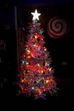 Watch O' Christmas Tree 123moviesFree