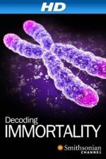 Watch Immortal 123moviesFree