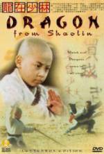 Watch Long zai Shaolin 123moviesFree