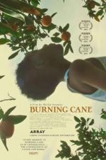 Watch Burning Cane 123moviesFree