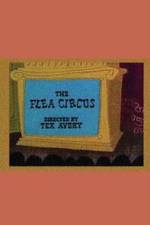 Watch The Flea Circus 123moviesFree