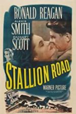 Watch Stallion Road 123moviesFree