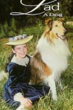 Watch Lad A Dog 123moviesFree