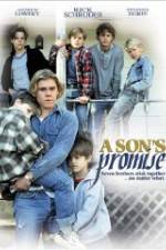Watch A Son's Promise 123moviesFree