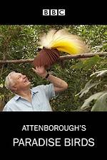 Watch Attenborough's Paradise Birds 123moviesFree