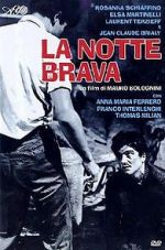 Watch The Big Night 123moviesFree