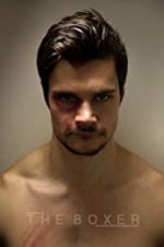 Watch The Boxer 123moviesFree