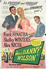 Watch Meet Danny Wilson 123moviesFree
