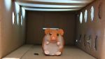 Watch Hamster Hell (Short 2012) 123moviesFree
