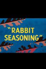 Watch Rabbit Seasoning 123moviesFree