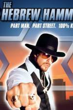 Watch The Hebrew Hammer 123moviesFree