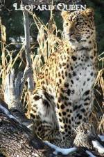 Watch Leopard Queen 123moviesFree