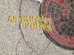 Watch Aberrant Forms: A Jurassic Short 123moviesFree