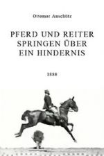 Watch Pferd und Reiter Springen �ber ein Hindernis 123moviesFree