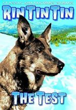 Watch The Test 123moviesFree