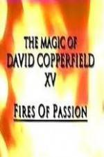 Watch The Magic of David Copperfield XV Fires of Passion 123moviesFree