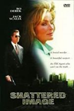 Watch Shattered Image 123moviesFree