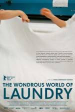 Watch The Laundromat 123moviesFree