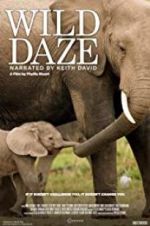 Watch Wild Daze 123moviesFree