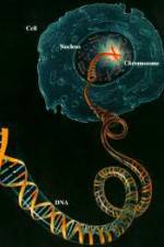 Watch Horizon: Miracle Cure? A Decade of the Human Genome 123moviesFree