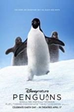 Watch Penguins 123moviesFree
