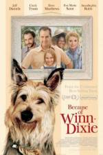 Watch Because of Winn-Dixie 123moviesFree