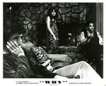 Watch Why 123moviesFree