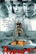Watch Flypaper 123moviesFree