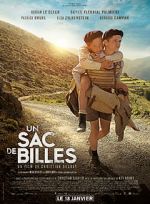 Watch A Bag of Marbles 123moviesFree