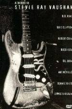 Watch A Tribute to Stevie Ray Vaughan 123moviesFree