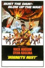 Watch Hornets' Nest 123moviesFree