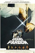 Watch The Big Pardon 123moviesFree